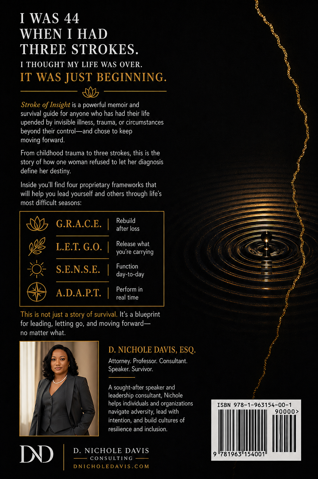 Stroke of Insight — back cover featuring frameworks and author bio